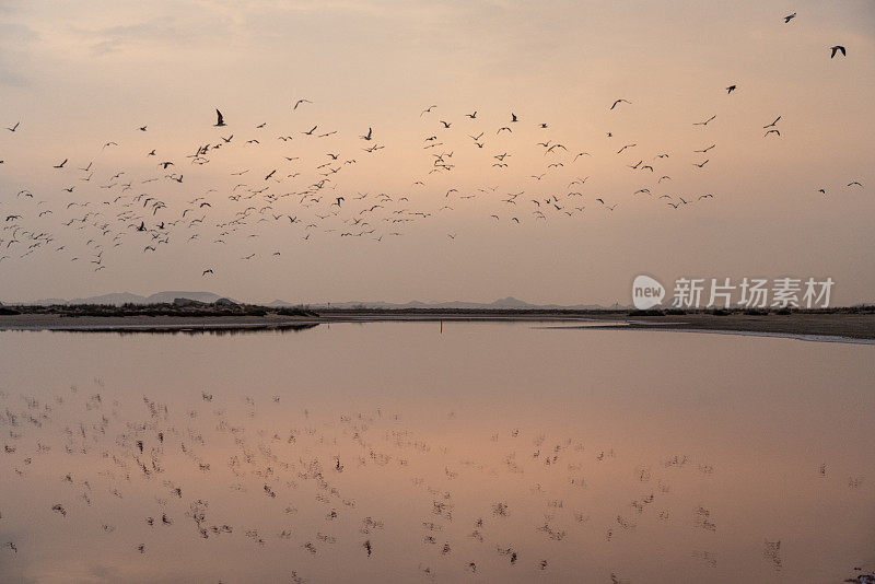 日落时分，Jalan Bani Bu Ali的粉色湖泊